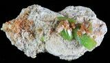 Pyromorphite Crystal Cluster - China #63672-1